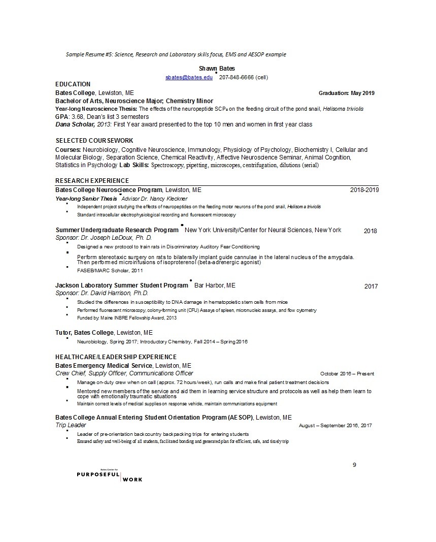 Sample College Resume Collection
