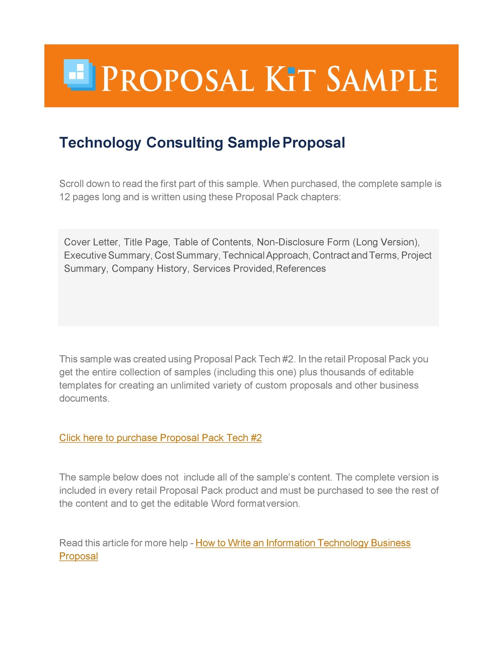 Techonology Consulting Sample Proposal